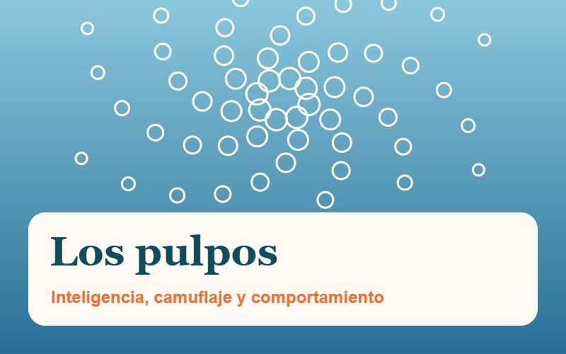 Guía sobre los pulpos Guía sobre los pulpos